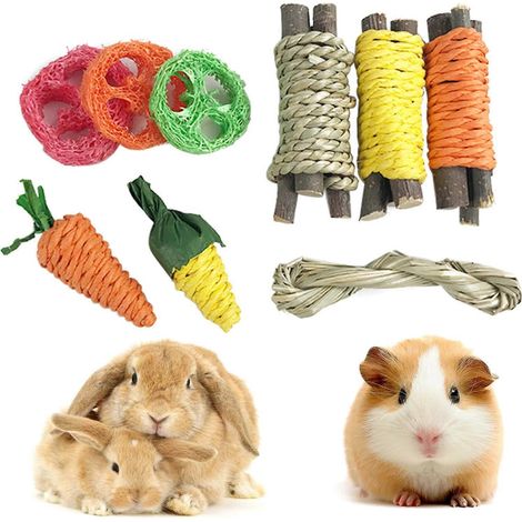 Lot de 9 jouets à mâcher pour lapins, hamsters, cochons d'Inde, lapins, écureuils et gerbilles (1/4)
