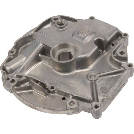Carter de protection BRIGGS ET STRATTON 793509 (1/2)