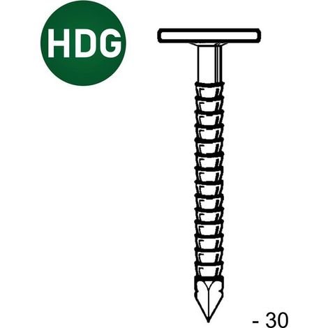 Pointe en Vrac Tête Extra Large Annelée Galvanisée à Chaud (Hdg) - 3.1x30 mm - 2.5 kg - D-Work (1/5)