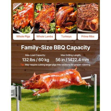 Barbecue Rôtissoire Capacité de Charge de 60 kg Kit de (1/5)