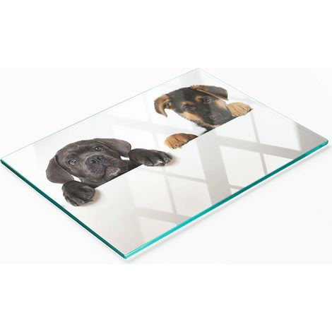 Küchenservierbrett aus Glas mit Abbildung von drei Welpen, 80 x 52 cm (1/5)