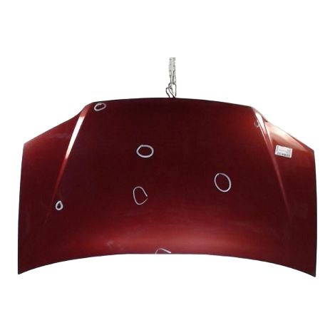 Capot FIAT Idea 2005- [PRODUIT D'OCCASION]♻️46828725 (1/4)