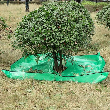 Pack of 1 landscape pruning tarp with half-hole for collecting leaves around trees and shrubs, green (1/5)