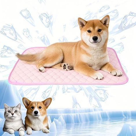 Tapis de refroidissement pour animaux de compagnie, couverture rafraîchissante pour chien, matelas frais pour l'été, 70 x 55 cm, L, rose (1/5)