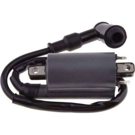 Bobine D Allumage - Pour Moteur Buyang 260cc 300cc D300 G300 - Compatible Remplacement - 1 Pièce (1/4)