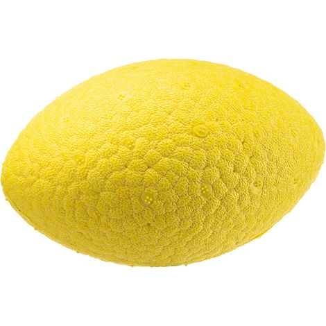 Ferplast CHEWA BOING RUGBY Balle de rugby jouet pour chien Ferplast Chewa Boing, taille moyenne, en matériau extra résistant et non toxique, rebondit et flotte. Aide à l'hygiène dentaire.. Variante M 