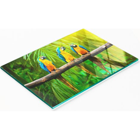 Elegante e resistente tagliere da cucina in vetro con motivo a ramo e pappagallo, 80x52 cm. (1/5)