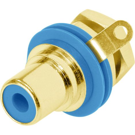 Rean AV NYS367-6-CON Cinch-Steckverbinder Buchse, Einbau vertikal Polzahl: 2 Blau 1 St.