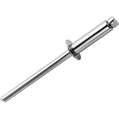 Set of 50 Stainless Steel Rivets, 4.8mm Diameter x 25mm Height, with Rapid Cone Punch Tool