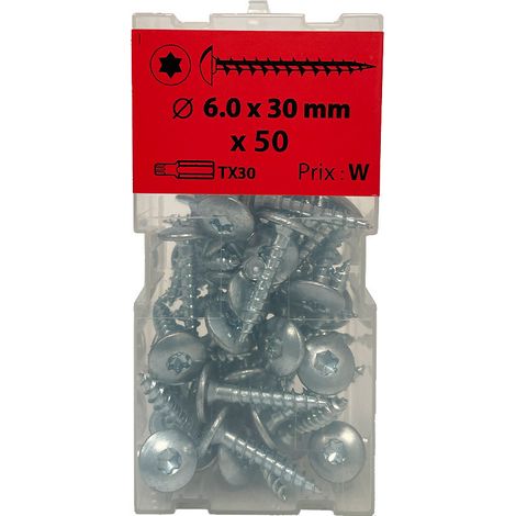 50 vis penture 6 x 30mm zingué - Viswood