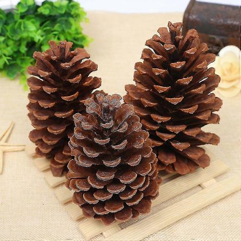 12 Pcs pommes de pin naturelles en vrac, ornements de pommes de pin pour l'artisanat Diy, sapin, décoration maison d'automne et de Thanksgiving (1/2)