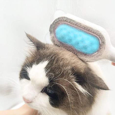 Brosse de toilettage pour chien et chat, à poils longs ou courts, avec picots souples pour massage et élimination des poils morts et nœuds. (1/5)