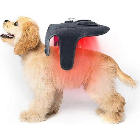 Rotlicht-Therapiegürtel für Haustiere – Tragbares Gerät mit 42 LEDs zur Linderung von Gelenkschmerzen und Rehabilitation bei Hunden und Katzen (1/4)