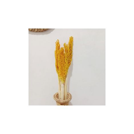 Bouquet d'herbes du Cantal - Ambre- Vendu par 6 (1/4)