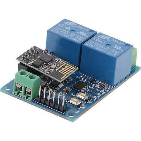 Module relais Wi-Fi ESP8266 avec application IoT et contrôleur à 2 canaux pour maison connectée 12 V (1/5)