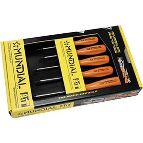 SERIE CACCIAVITI TORX CON FORO 5 pezzi