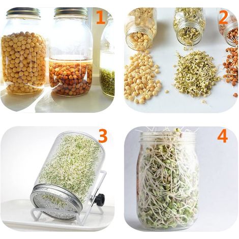 6 pièces couvercles de germination pour bocaux Mason à large ouverture, supports inclus, pour micro-pousses de brocoli, luzerne, graines et haricots (1/5)