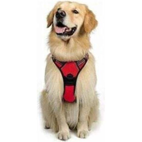 Harnais chien réglable anti-traction rouge avec réflecteurs, taille M pour races grandes comme American Staff ou Border Collie (1/5)