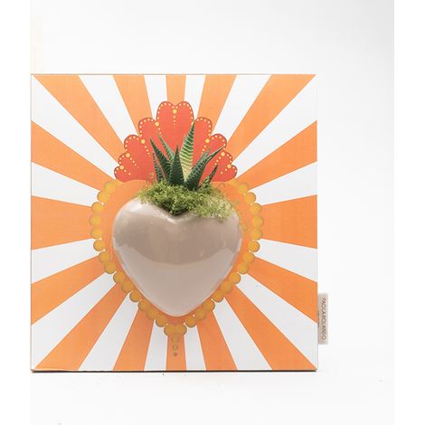 Pianta grassa succulenta in cuore ceramica Made in Italy Cuore Radiale - Arancione