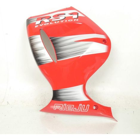 Seitenwand Verkleidung links für Motorrad rieju 50 rs1 evolution (1/4)