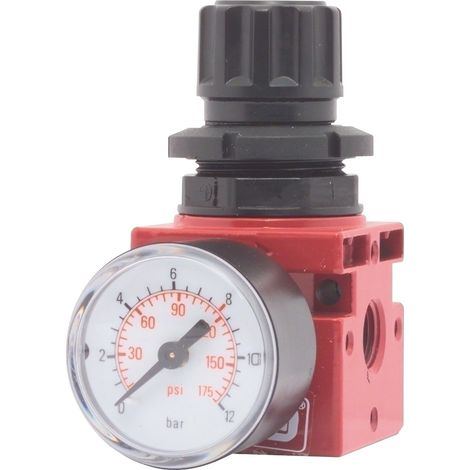 Elmag Regulador de aire comprimido rosca 1/2 pulgada (1/2)
