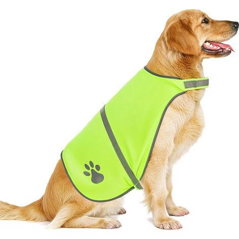 Gilet di sicurezza per cani, gilet di sicurezza riflettente, cappotto regolabile per cani per attività all'aperto, passeggiate al buio (luce) (1/5)
