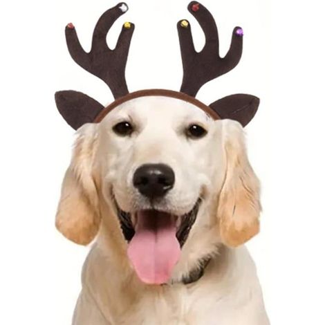 Noël Renne Chien Bandeau Chien Noël Elk Chien Bois Bandeaux Costume De Noël Chapeaux pour Chiens et Chats (Marron) (1/5)