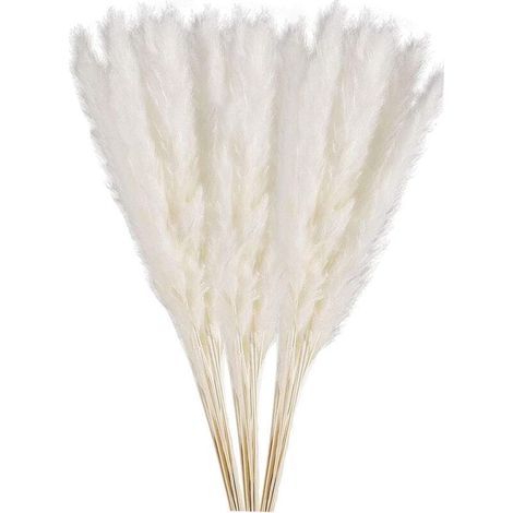 Herbe de pampa séchée naturelle, petite pampa naturelle, plumes 100 % naturelles, roseaux séchés pour mariage, bricolage, maison, fête, Saint-Valentin, cadeaux (Blanc) (1/5)