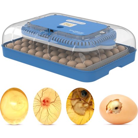 Cortadora de huevos automática con pantalla LCD, capacidad para 70 huevos, función 3 en 1: incubadora, gallinero e incubadora, control automático de temperatura y humedad, 90 W, ABS transparente. (1/5)
