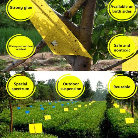 Doppelseitiger Insektenfallen-Aufkleber für den landwirtschaftlichen Garten/Insektenfallen-Schild kann in verschiedene Formen geschnitten werden (20 Blatt gelbes doppelseitiges Papier 2015 cm) FLITI