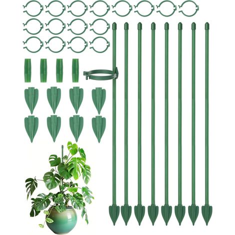 Tuteur Plante - 8 Pièces - Fibre De Verre - Support 30 Cm - Pour Monstera Et Orchidée - Vert (1/5)