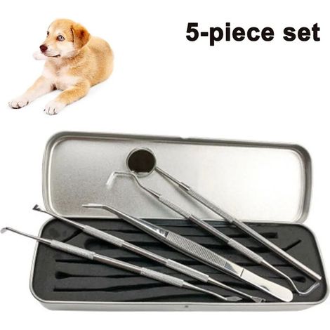 Kit de nettoyage dentaire, têtes de nettoyage, 5 pièces (1/5)