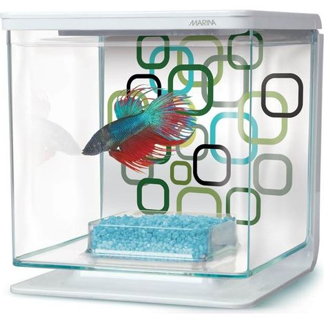 Marina Betta Kit - Geo -Blasen