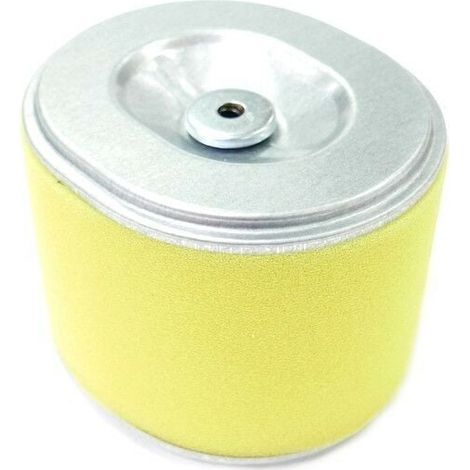 Filtre à air moteur Honda GX240 et GX270 (1/4)
