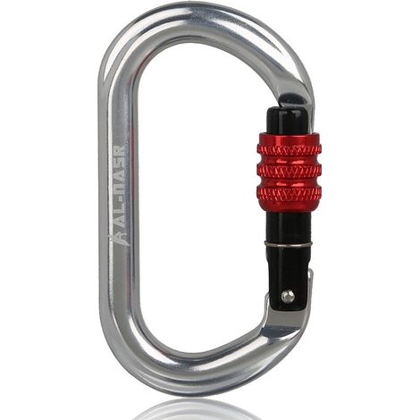 Mousqueton à verrouillage d'escalade Master Lock de type O (rouge argenté)