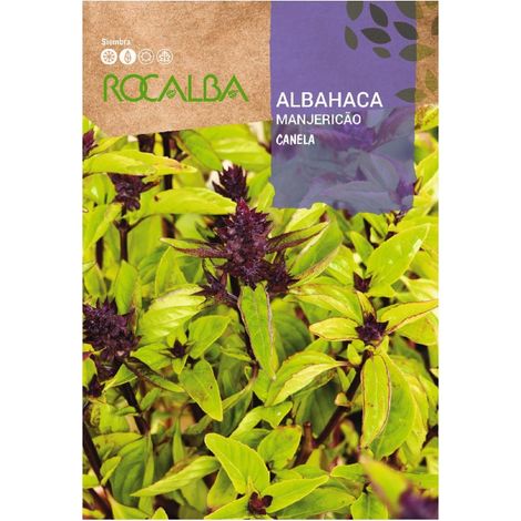 Rokalba Albahaca Canella Cousms 2G Samen