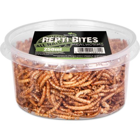 Terrario Repti Bites Gusanos de la harina 250 ml - gusanos de la harina secos (1/5)