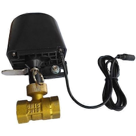 Robinet d'eau intelligent Tuya Smart WiFi DN15 avec application de commande vocale, minuterie à distance et prise UE (1/5)