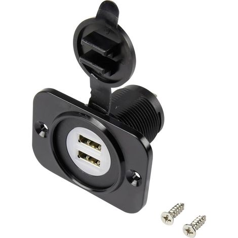 Presa doppia da incasso USB dotata di cappuccio di protezione antipolvere, montaggio verticale, doppia, parte anteriore (1/2)