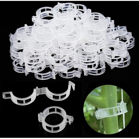 Bardusch 200pcs tuteur tomate, tuteur plante support plante, tuteur plante grimpante tuteur monstera treillis, support pour plantes grimpantes, clips de support pour plantes,pour légumes,Plantes,Tomat (1/5)