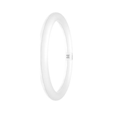 LMP OS LEDTUBE T9C EM 32 18.3W 8 - CEGASA