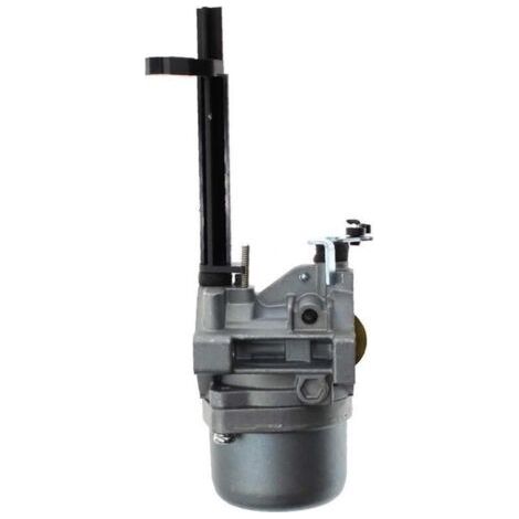 Carburateur Briggs & Stratton 695328 591378 for souffleuse à Neige 796321 696132 696133 796322 699958 697351 699966