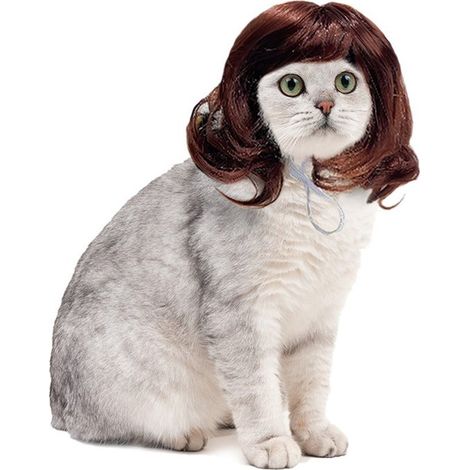 Perruques pour animaux – Tissu en maille douce – Respirantes et légères – Bande élastique ajustable – Conviennent aux chiens, chats, pour Halloween et le cosplay, marron