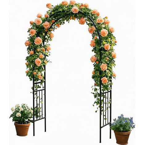 Arche jardin métallique noire tube acier galvanisé 20 mm, treillis pour plantes grimpantes mariage terrasse (1/5)