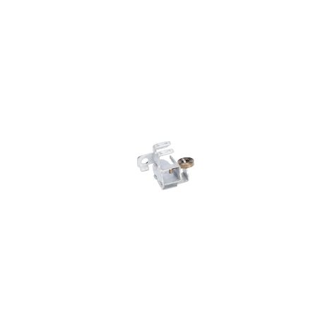 Porte-Balais pour meuleuse angulaire GWS 7-125 et autres modeles BOSCH - 1619P02845