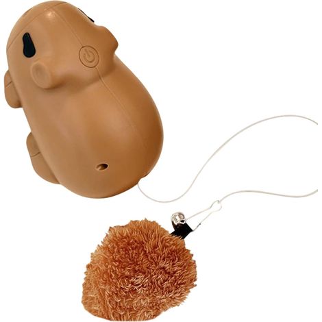 Jouet Automatique pour Chat Teaser Électrique Rechargeable Balles à Capteur de Mouvement pour Chaton pour Chaton et Chat Petite Moyenne Grande Taille Maison Jardin Arrière Cour Parc (1/5)