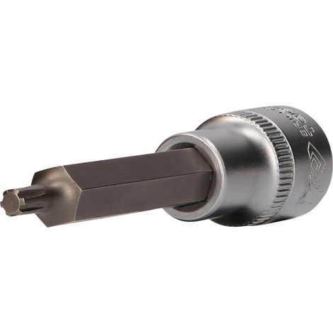 Tournevis à Embout Ribe 1/2" 100 mm M5 (1/5)