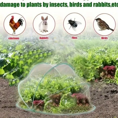 Supply of insect netting for plants, greenhouses, fruit trees, birds, gardens and plant protection. (1/5)