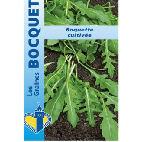 Roquette le sachet de 2500 graines (5g) (1/2)