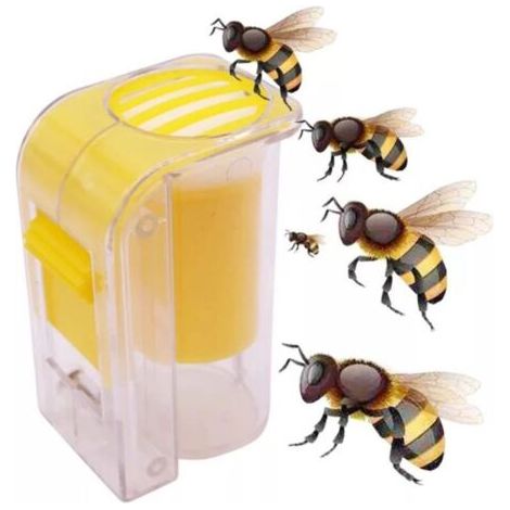 Cage/piège à reine, flacon marqueur pour apiculture - AquaForge (1/5)